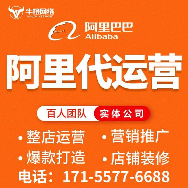 铁岭电商代运营