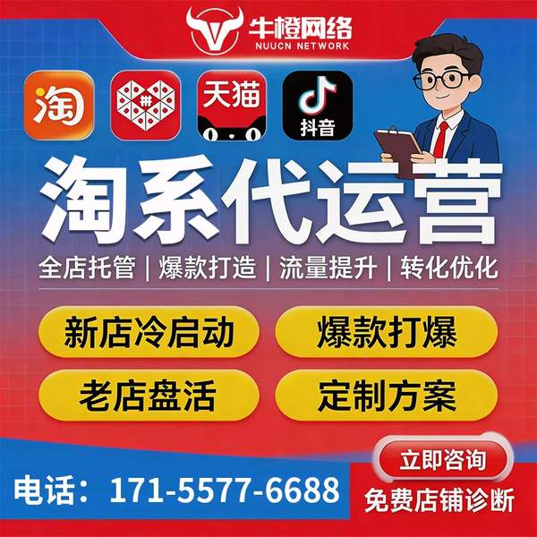 铁岭电商代运营