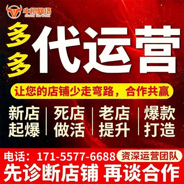 铁岭电商代运营