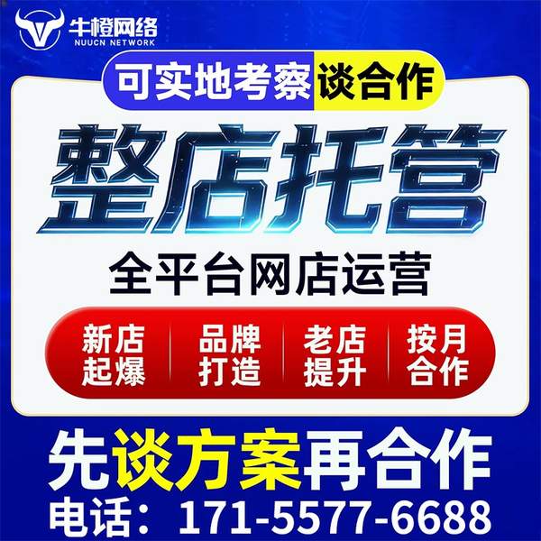 铁岭电商代运营