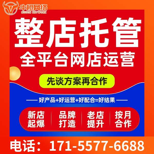 铁岭电商代运营