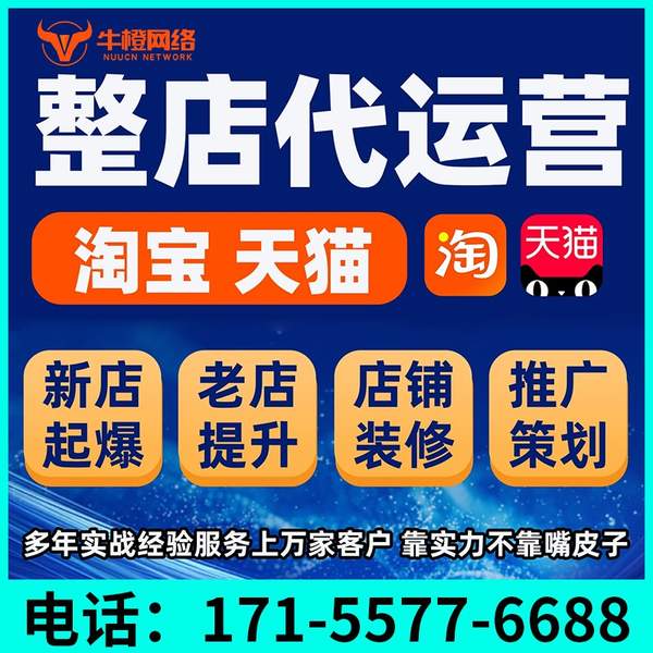 铁岭电商代运营