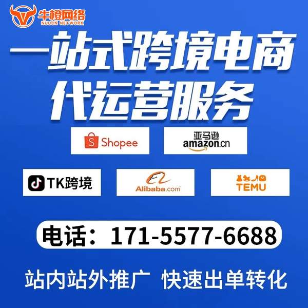铁岭电商代运营