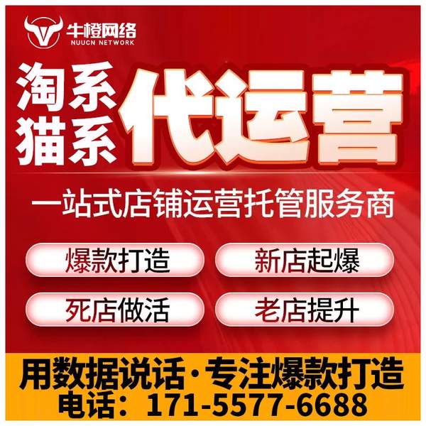 铁岭电商代运营